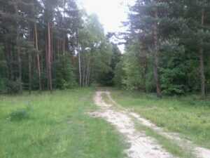 Piaszczysta droga w okolicach Centurii