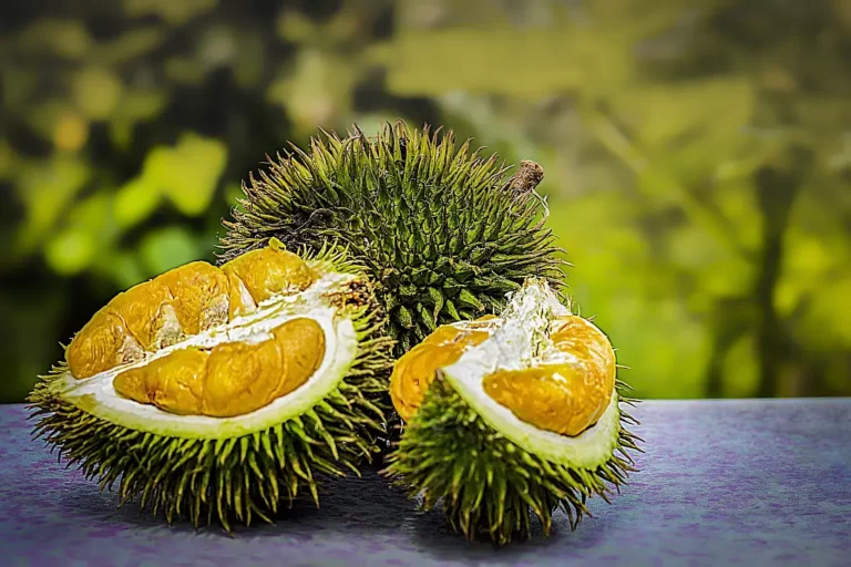 Durian – tajemniczy król owoców o kontrowersyjnym zapachu