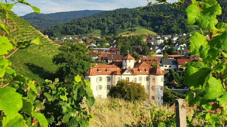 Schloss Neuweier – zamek, który pachnie winem i historią