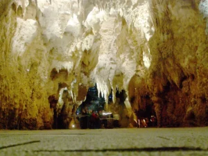 Katedra_Waitomo